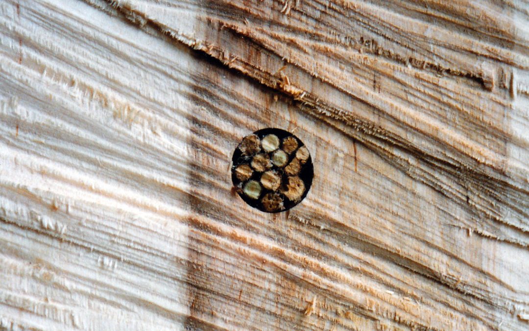 selected projects: wood 94