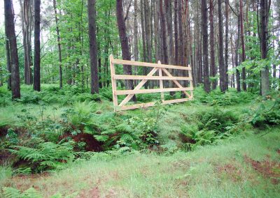 aden country park: enter the forest, 2017, timber, 7200x2800x120mm, aden country park