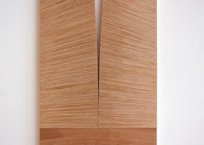 allan watson, on a cloudless day, plywood, 600x1130x28mm